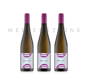 Weingut Finkenauer - MEILENSTEINE